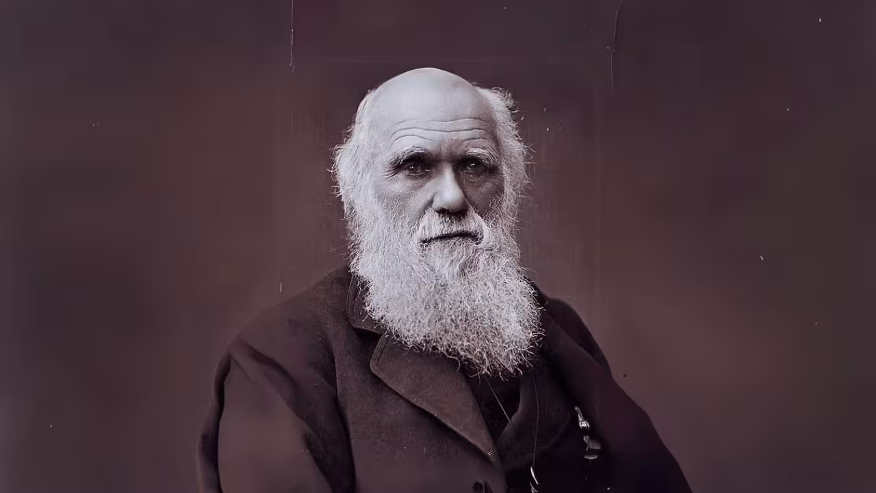 Darwin e a Evolução dos Olhos