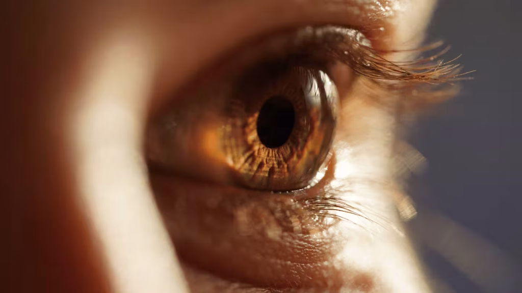 WHOeyes: testa a tua visão em segundos com esta aplicação gratuita da OMS!