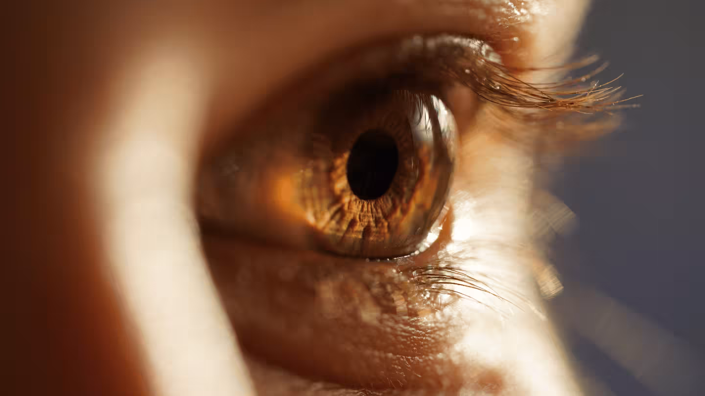 WHOeyes: testa a tua visão em segundos com esta aplicação gratuita da OMS!